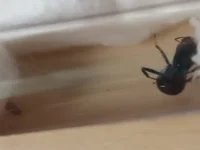 WhatsApp Image 2026-01-26 at 16.57.45.webp