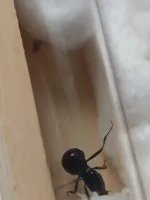 WhatsApp Image 2026-01-26 at 20.04.15.webp